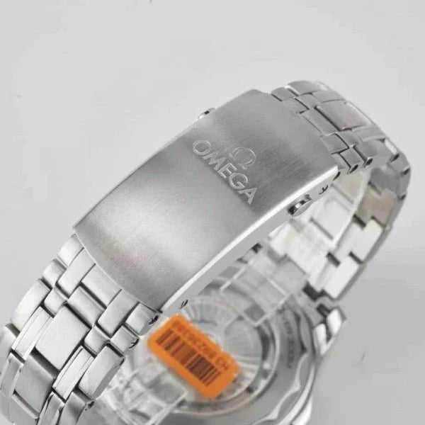 WG  Omegaa Seamaster Aqua Terra Silver